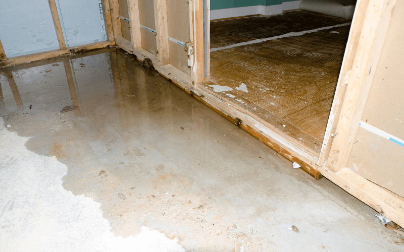 Common Water Damage Health Risks