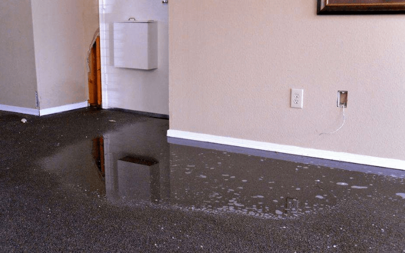 Common Places In Your Home Where You May Find Water Damage