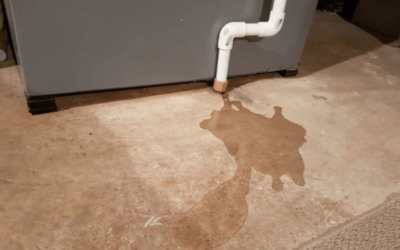 Signs You Have Hidden Water Damage in Your Home