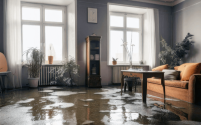 How Much Does Water Damage Repair Cost in Hillsboro OR?