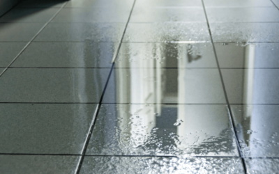 How to Fix Water Damage Under Tile Floor?