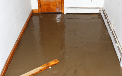 Dos And Don’ts Of Water Damage Restoration