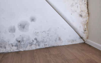 How to Prevent Mold Growth in Commercial Buildings?