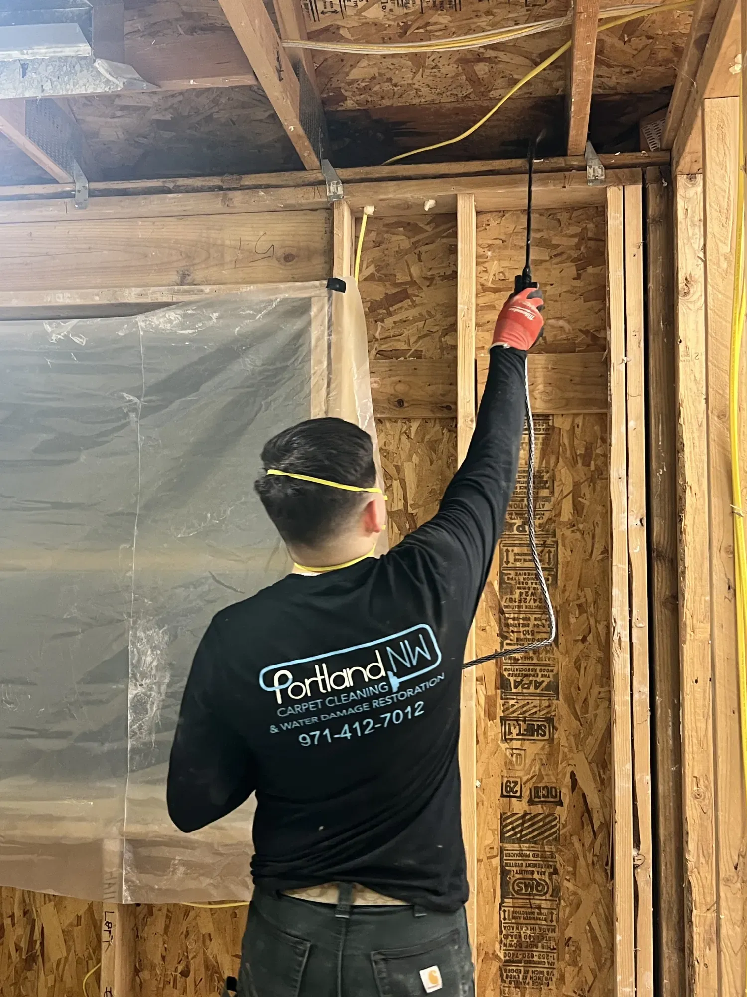 worker spraying molds on ceiling