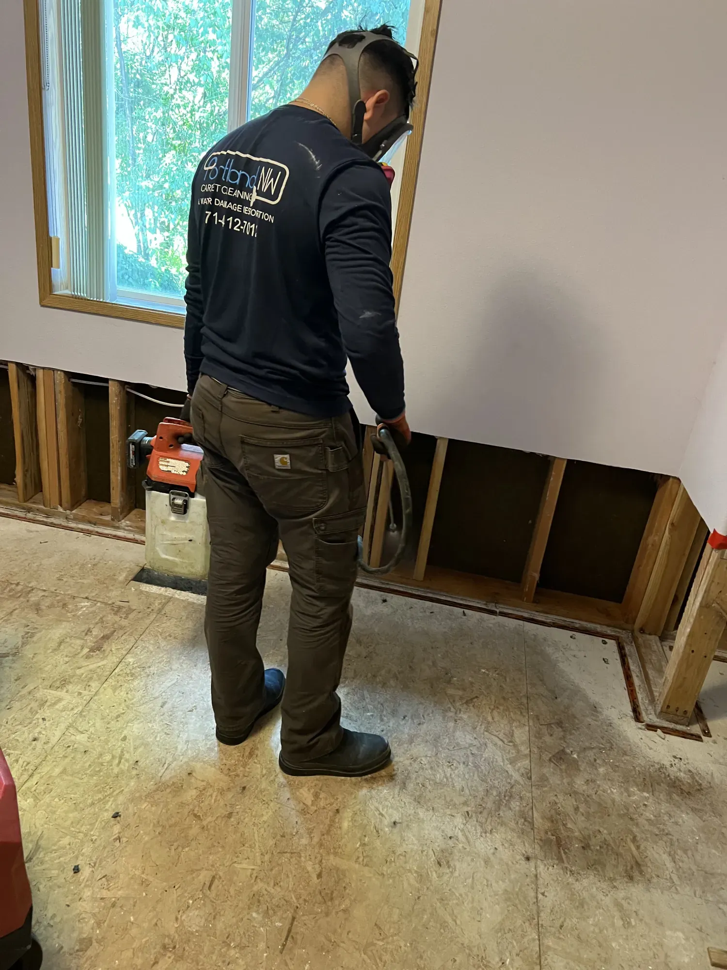 Mold Removal & Cleanup